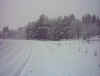 Snøfall i svingen, søndag 23.11.03