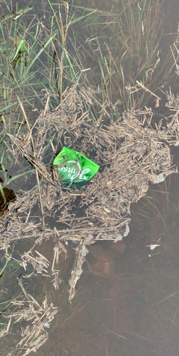 Er det Hansa si skyld, som gjorde at det flaut over?