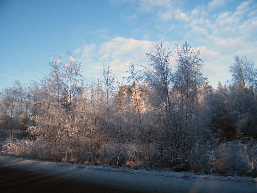 Holmensvingen om vinteren