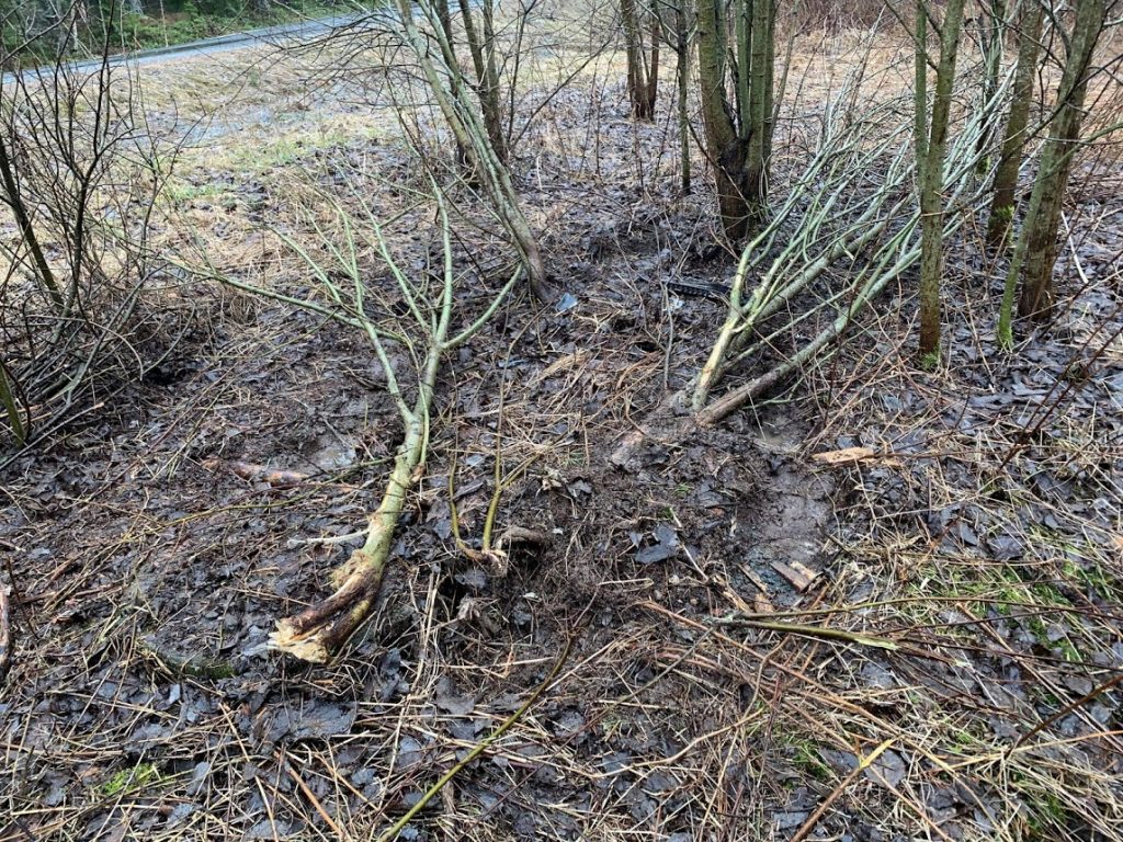 Detta går kraftig utover økonomien tæll grunneier.